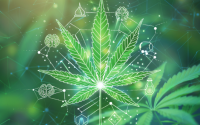 Що таке CBD?
